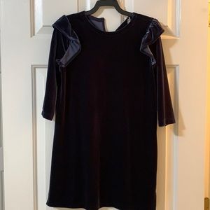 Beautiful midnight blue Crewcuts velvet dress